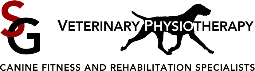 Veterinary Physiotherapy - Canine Fitness and Rehabilitation Specialists - Veterinary  Physiotherapy - Canine Fitness and Rehabilitation Specialists